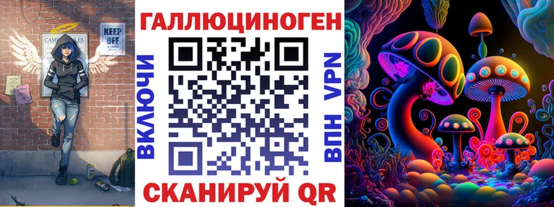 hydra tor Щигры Псилоцибиновые грибы мицелий