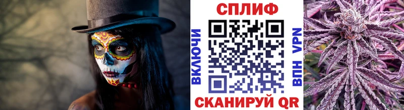 Канабис семена  Щигры 